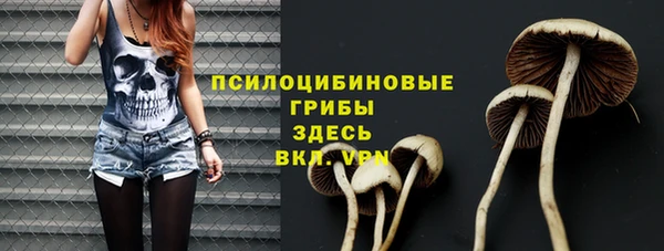 apvp Жердевка