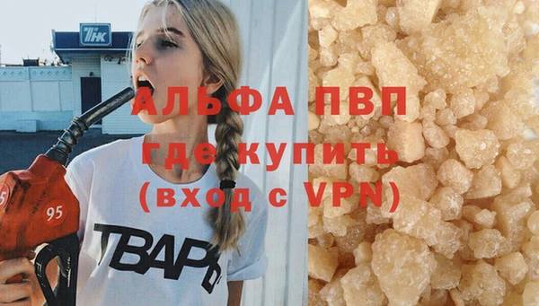 мескалин Богданович