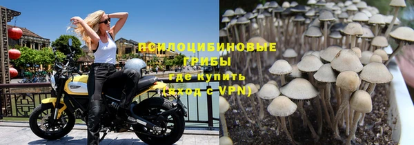 COCAINE Богородск